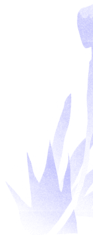 vector-2