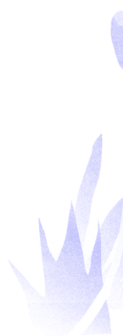 vector-2